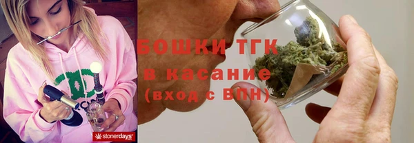 шишки Алексин
