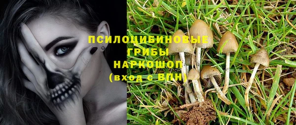 соль ск Алзамай