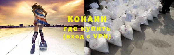 соль ск Алзамай