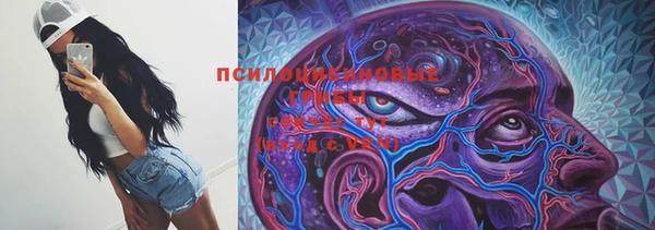 Альфа ПВП Алексеевка